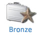 Website promotion Bronze
