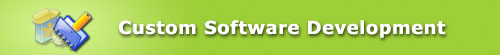 custom software development