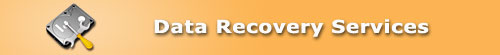 Data recovery services
