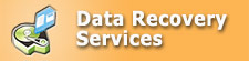 Data recovery services