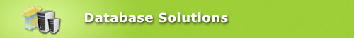 Database development solutions