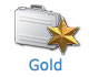 Website promotion Gold