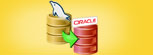 MySQL to Oracle Database Converter