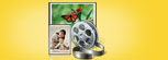 Digital Pictures Recovery Software