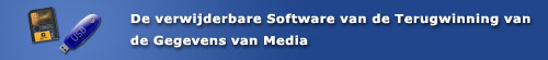 Removable media data recovery software
