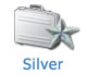 Website promotion Silver