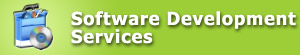 Software development services