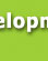 Wireless Mobile Application Development