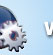 Website Development