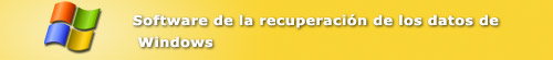 Software de la recuperación de los datos de Windows