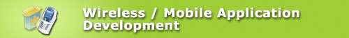 Wireless mobile application development