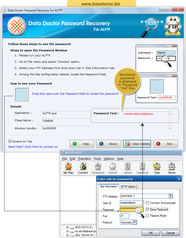 Password Recovery Software For ALFTP