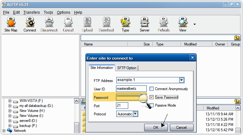 Password Recovery Tool For ALFTP