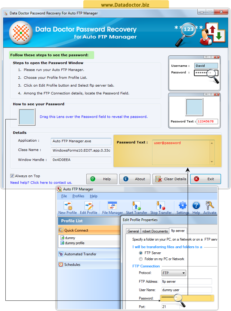 Password Recovery Software For Auto FTP Manager