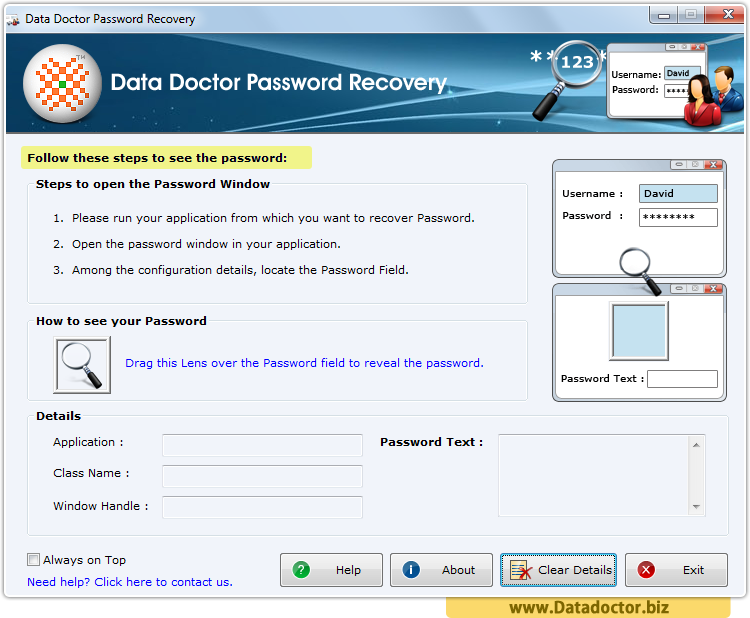 Password Recovery Software