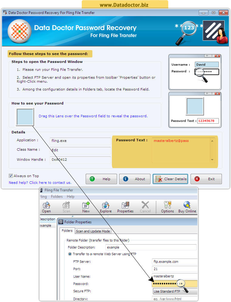 Password Recovery Software For Fling File Transfer