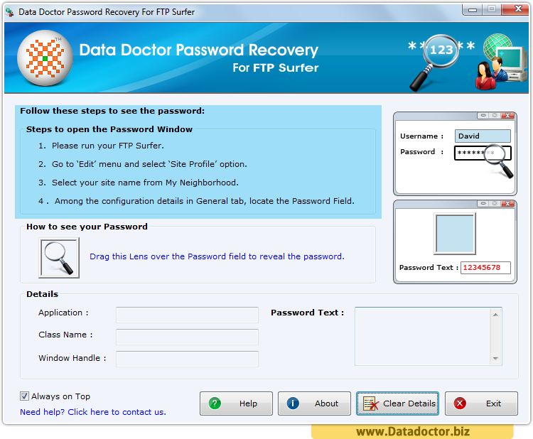 Password Recovery For FTP Surfer