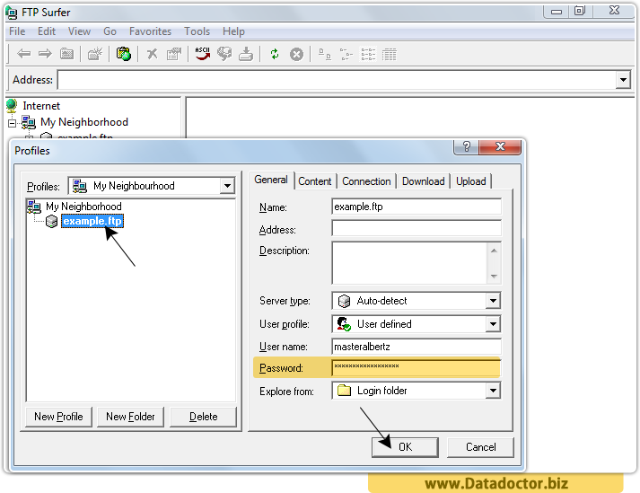 Password Recovery Tool For FTP Surfer