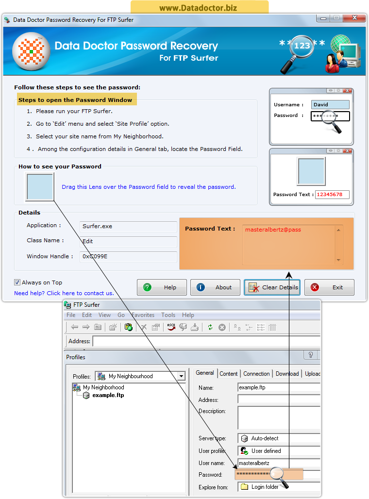 Password Recovery Software For FTP Surfer