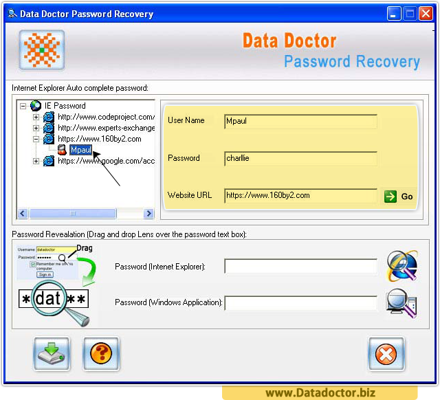Internet Explorer Password Recovery