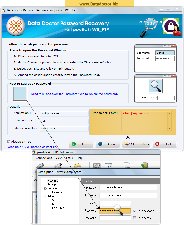 Password Recovery Software For Ipswitch WS_FTP