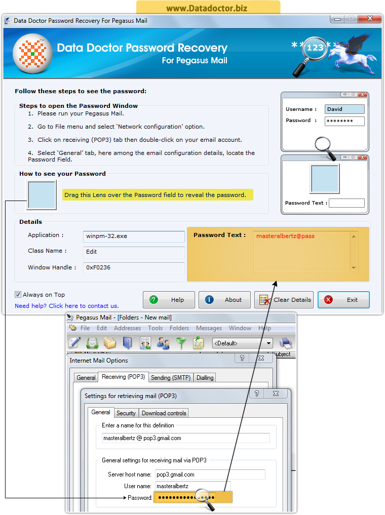 Password Recovery Software For Pegasus Mail