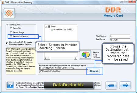 Sektor in Partition