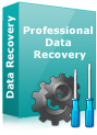 DDR Professional Data Recovery